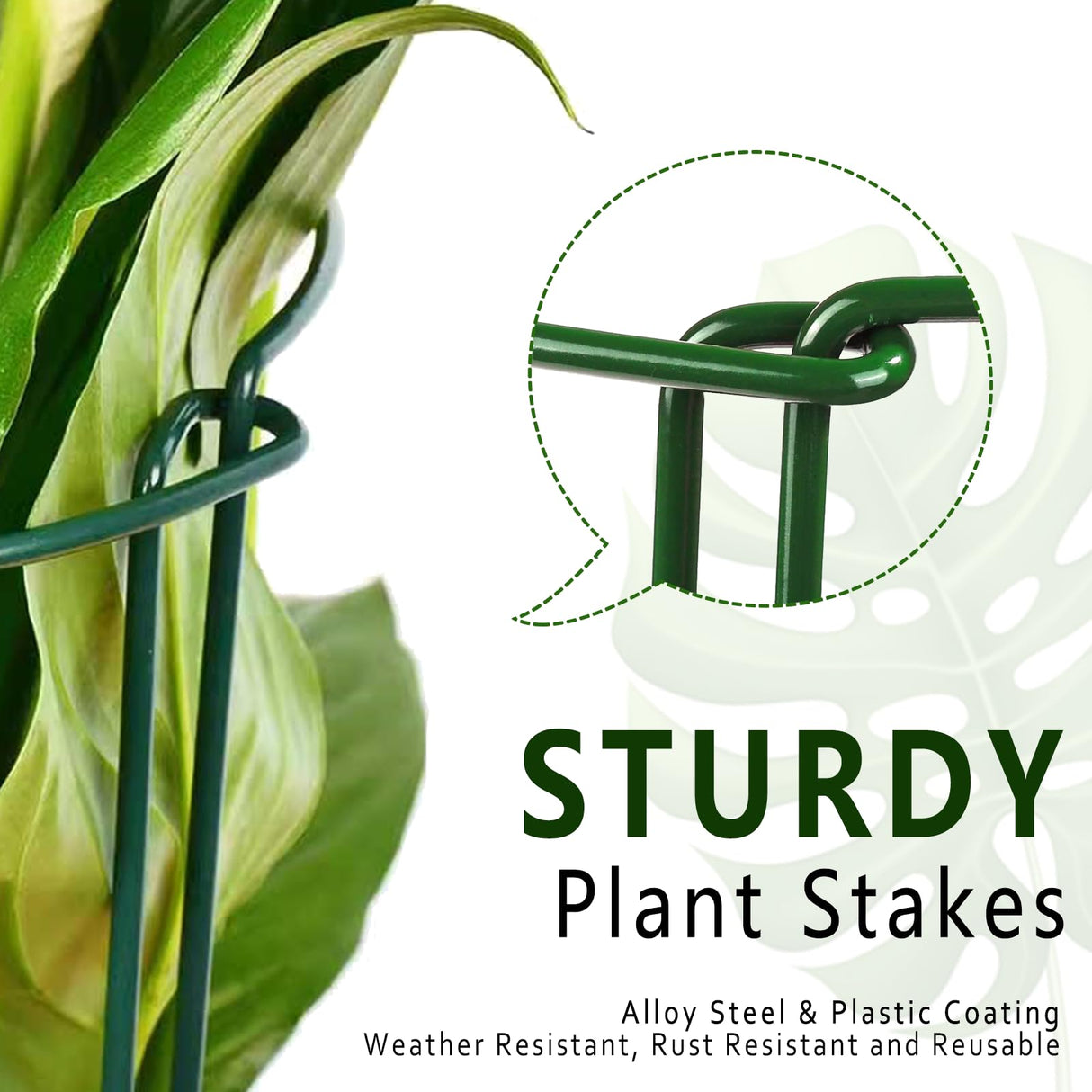 6 Pack Plant Support Stakes, 15.8" Half Round Metal Garden Plant Supports for Indoor Plants, Green Plant Cage Ring for Monstera, Peony, Hydrangea, Potted Plant Holder Sticks (10" Wide)
