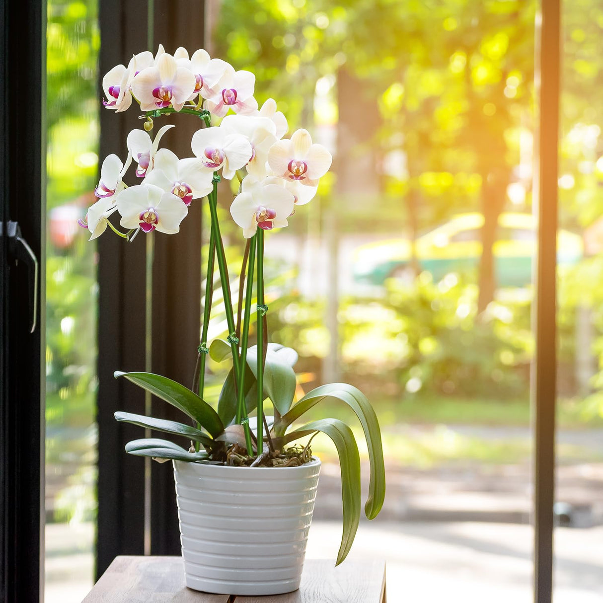 20Pcs Plant Stakes, 23.6IN Orchid Support Stakes for Indoor Plants