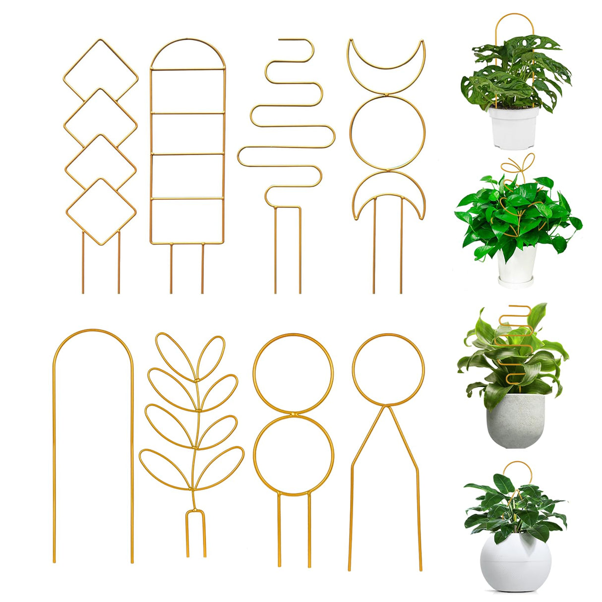 Simabsie 8 Packs Metal Trellis for Potted Plants, Climbing Support (Gold)