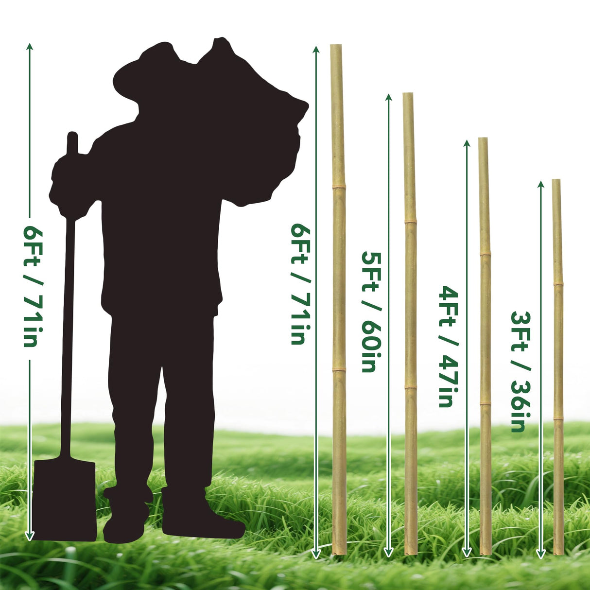 65 Pcs Bamboo Plant Stakes 5 Feet, Oltara Natural Bamboo Sticks Garden Stakes for Climbing Plants Support, Potted Plants, Vegetables, Tomatoes, Beans, Flowers, Trees