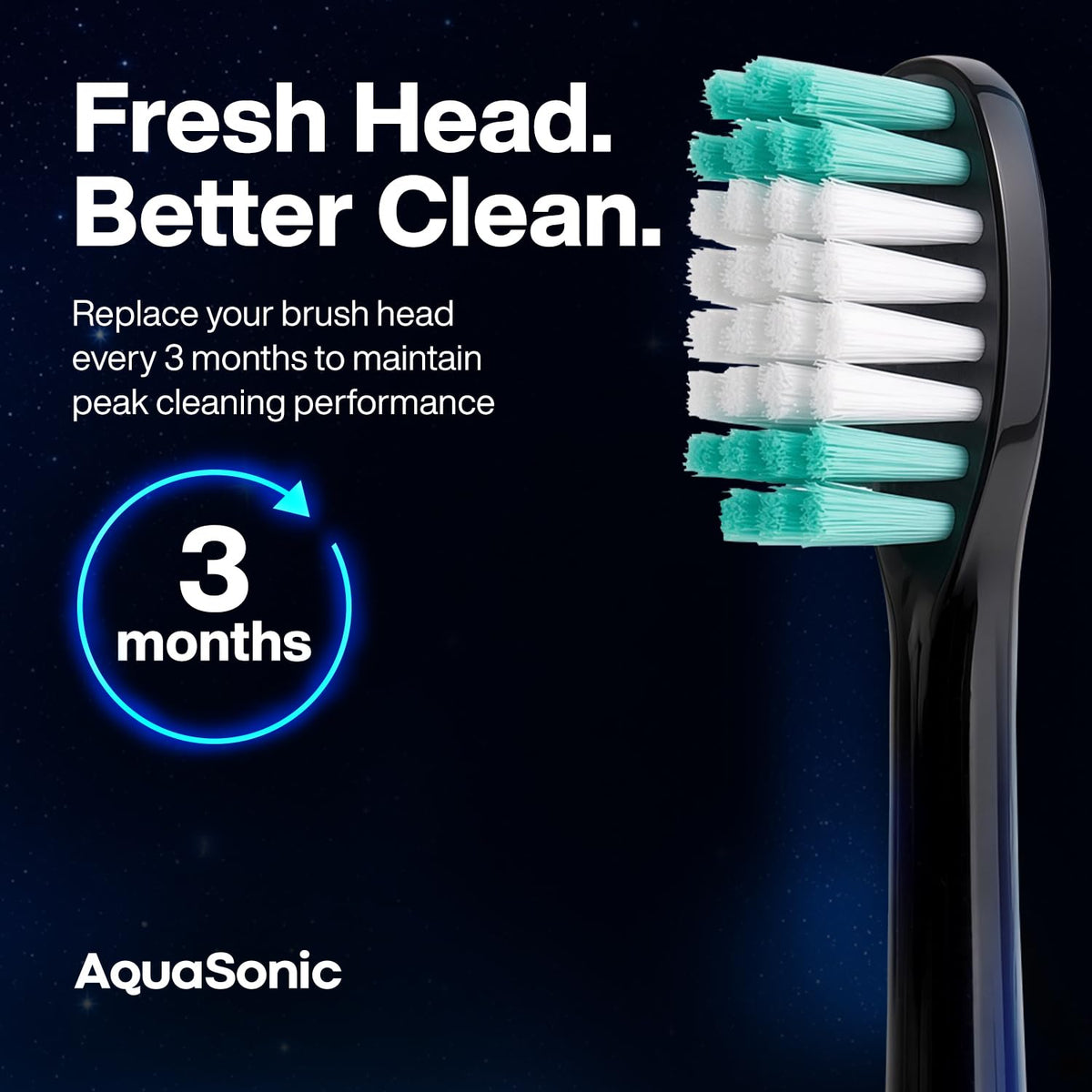 AquaSonic Genuine Standard Replacement Brush Heads, Black, 8 Pack