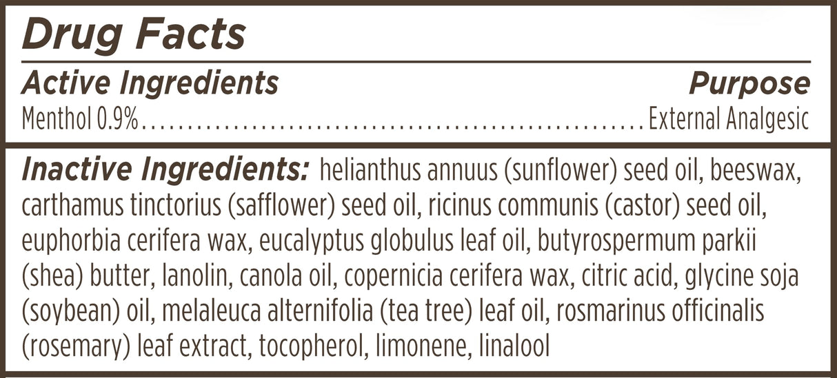 Burt's Bees Lip Balm Stocking Stuffers, Moisturizing Lip Care Christmas Gifts, for Dry Chapped Lips, Medicated with Menthol & Eucalyptus, Natural Origin Lip Care (4-Pack)