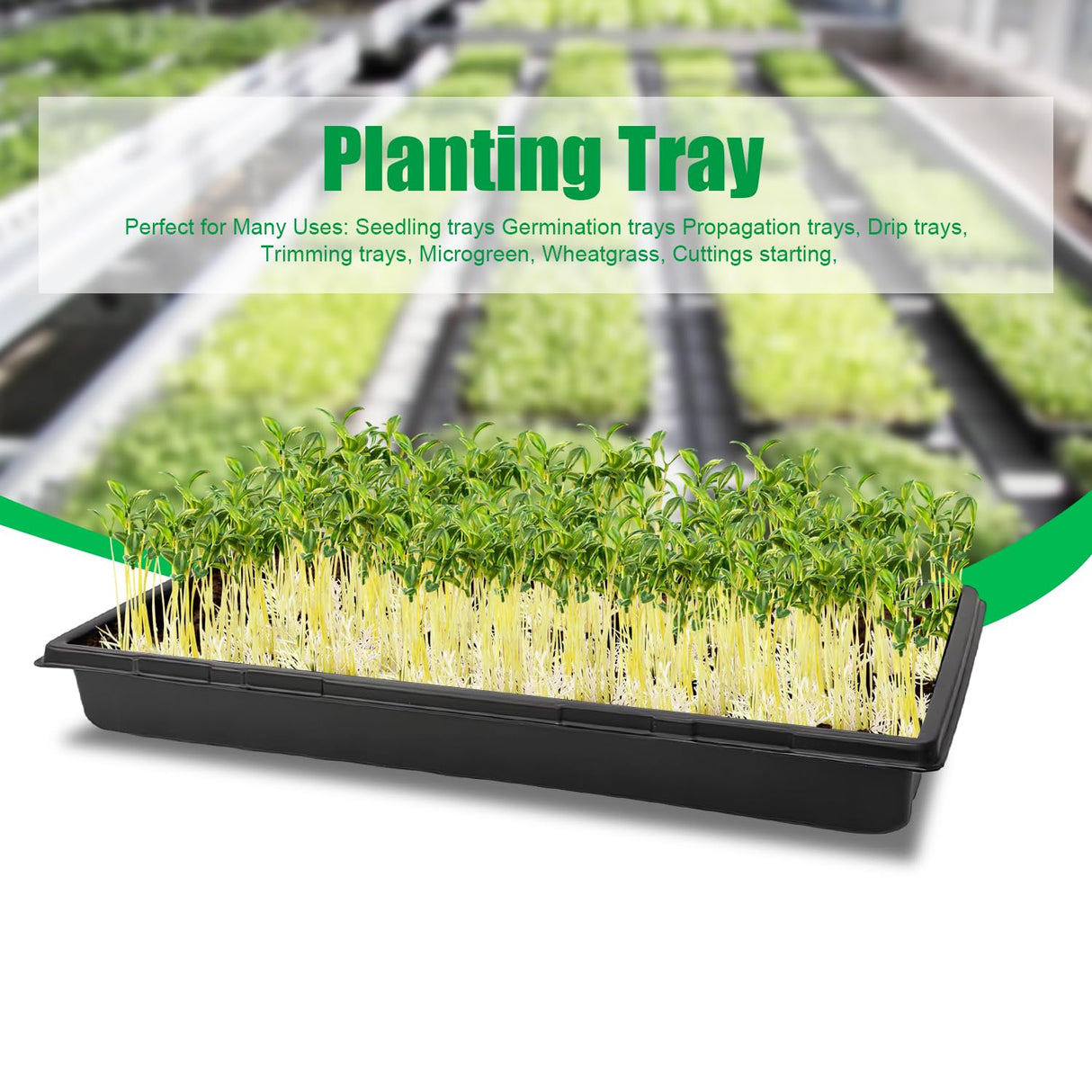 RooTrimmer Plant Growing Nursery, Standard 1020 Trays Plastic Sturdy Farmer Self Seedling Tray for Microgreens Indoor Nursery Pots Transplantation (5-Pack, 21.6"Ć11.2", 2.52" Deep, no Holes)