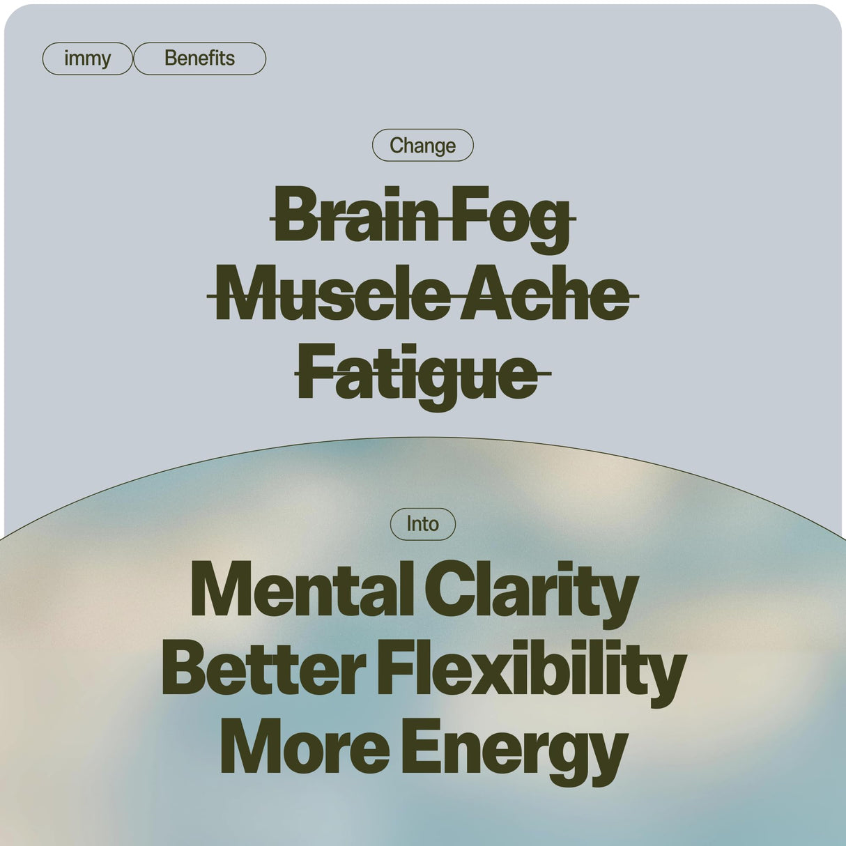 IMMY Immune Supplement for Mood Support and Gut Health, 30 ct. - Supports Joint Relief, Focus & Mood Support, Natural Calming Aid