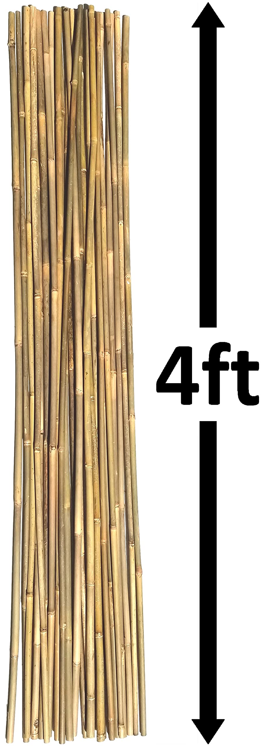 Dlh Western Natural Bamboo Poles, Eco-Friendly Plant Support Garden Stakes 4ft Long, Diameter of 3/8" (25-Count)