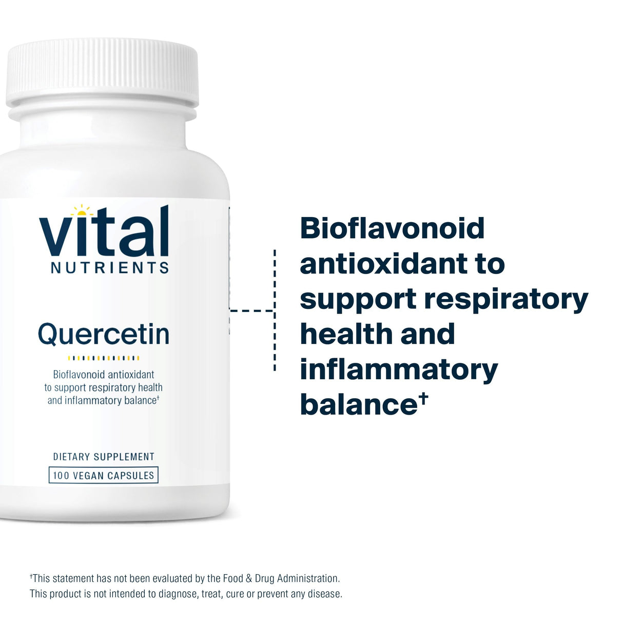 Vital Nutrients Quercetin | Vegan Quercetin Supplement with Bioflavonoids for Sinus, Respiratory, Heart, & Immune Function Support | Gluten, Dairy, Soy Free | 500mg | 100 Capsules