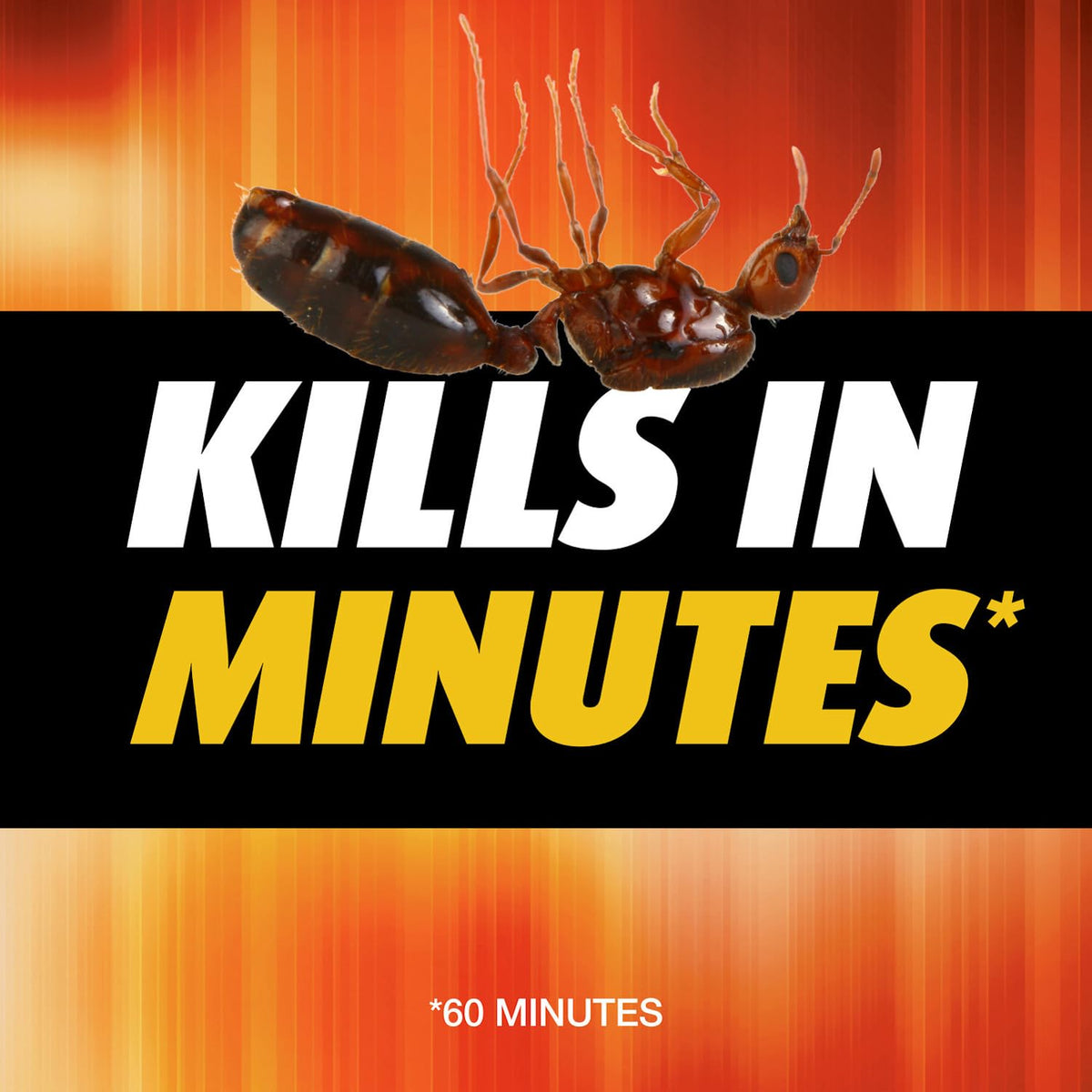 Ortho Orthene Fire Ant Killer1, 12 oz (2-Pack), 680g