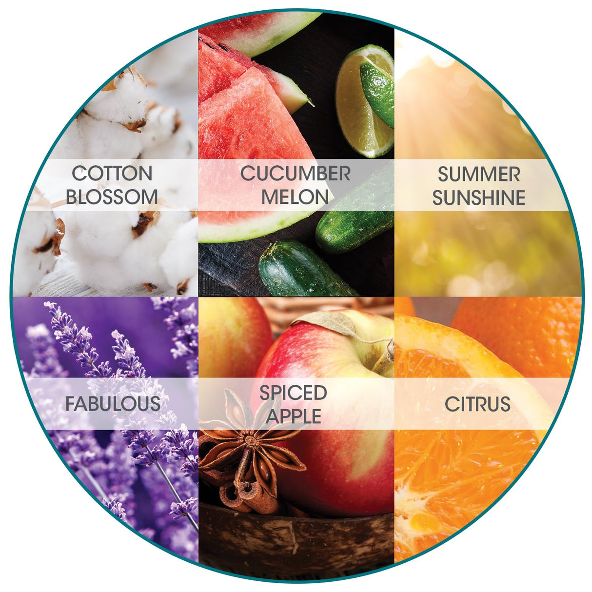 Fresh Products Eco Bowl Clip Air Freshener - Versatile Design Toilet & Trash Freshener - Chemical Free Natural Oils - Discreet - Lasts 30 Days - Made in USA - Variety Pack 6 pk