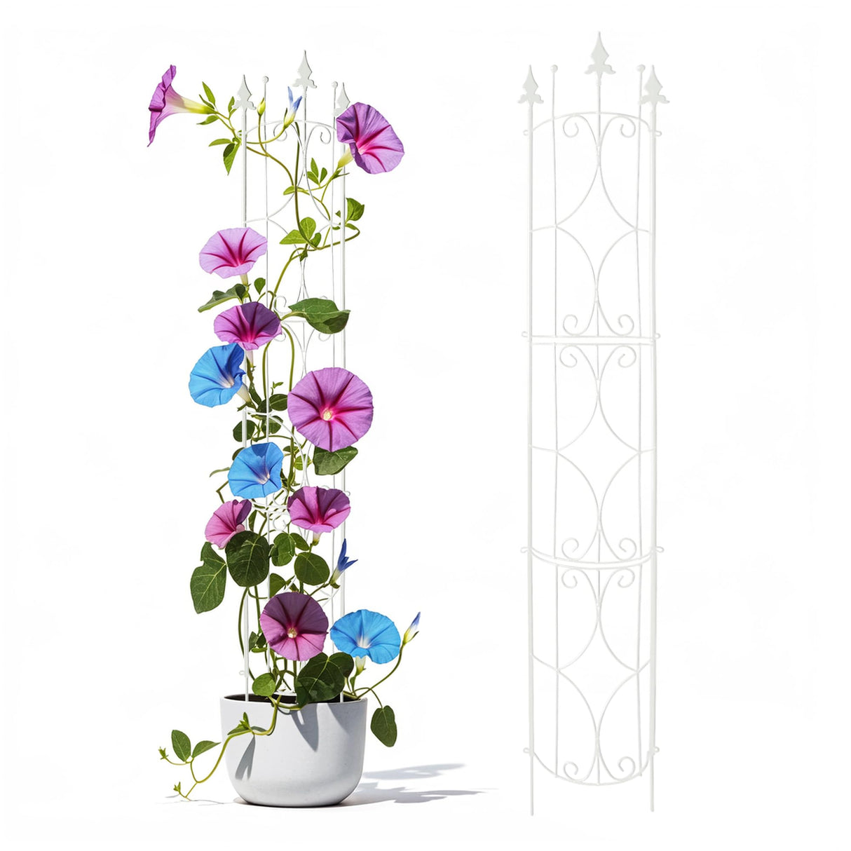 Thealyn Garden Trellis 2 Pack 72'' H x 12'' W Metal Plant Trellis