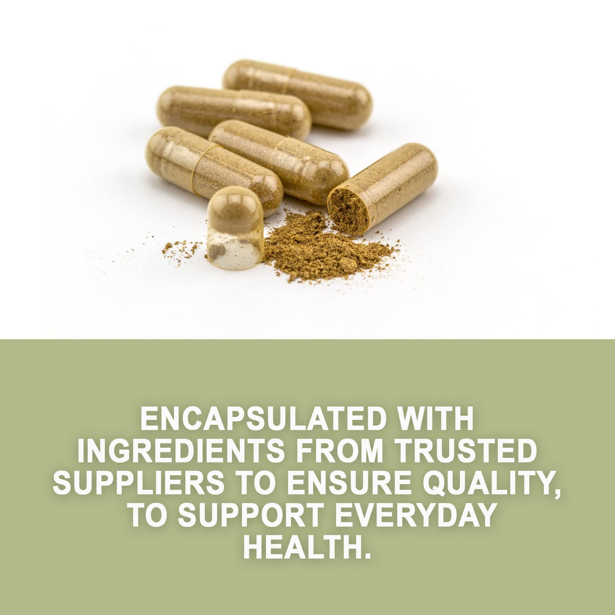 Evergreen Herbs Cuachalalate Herb (Amphipetyglum Adstringens) - Resealable Stand Up Pouch to Ensure Freshness! (Capsules)