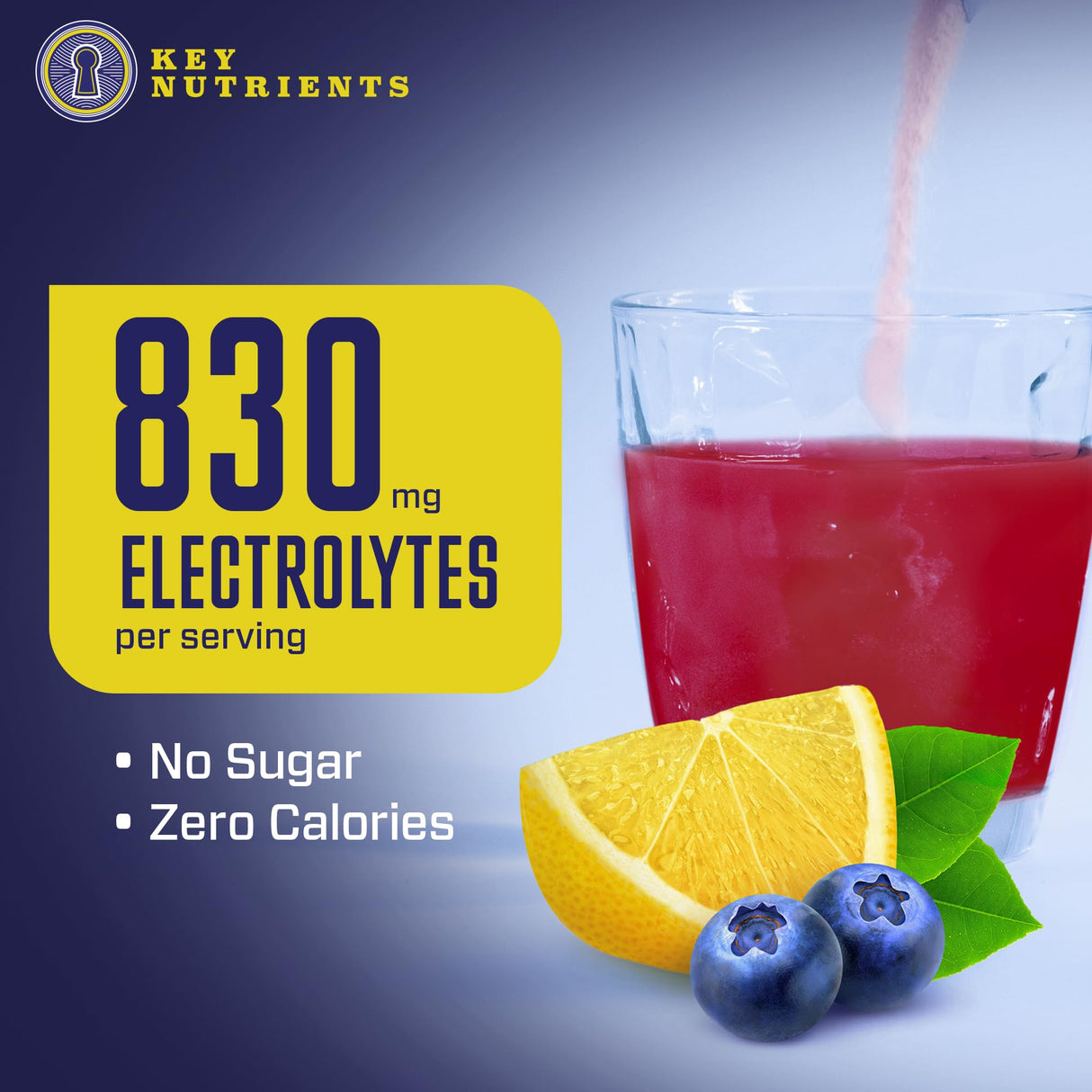 KEY NUTRIENTS Multivitamin Electrolytes Powder No Sugar - Fresh Blueberry Lemonade Electrolyte Powder - Endurance & Energy Supplement - Hydration Drink - No Calories - 90 Servings - Made in USA