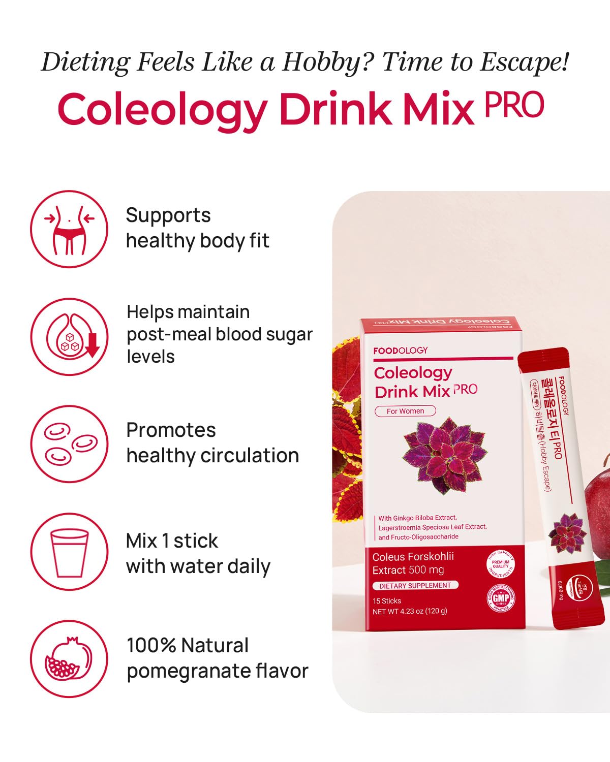 FOODOLOGY Coleology Drink Mix PRO (15days) - Daily Pomegranate Water Mix with Coleus Forskohlii, Banaba Leaf, FOS & Ginkgo – Refreshing Wellness Drink for Body Balance