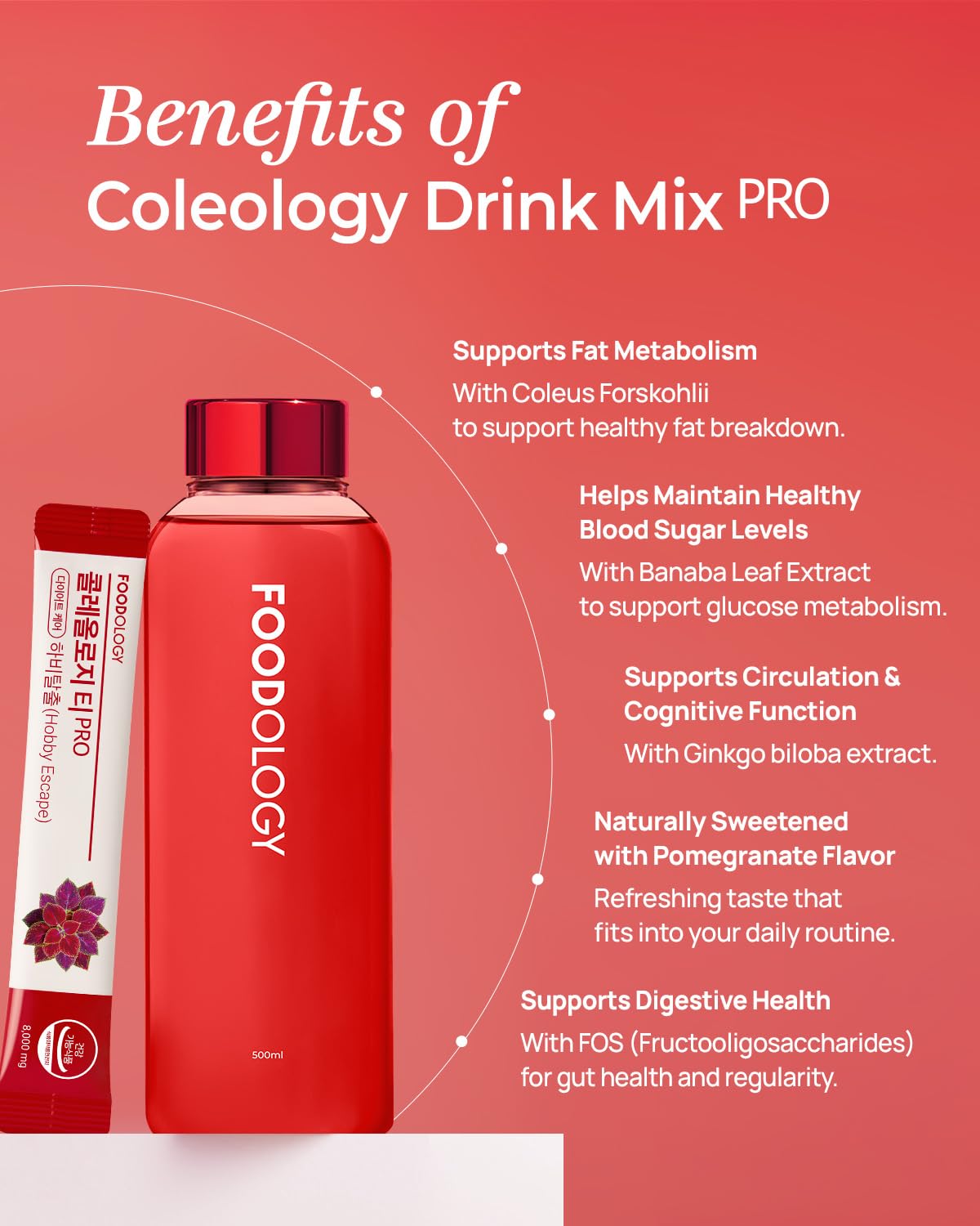 FOODOLOGY Coleology Drink Mix PRO (15days) - Daily Pomegranate Water Mix with Coleus Forskohlii, Banaba Leaf, FOS & Ginkgo – Refreshing Wellness Drink for Body Balance