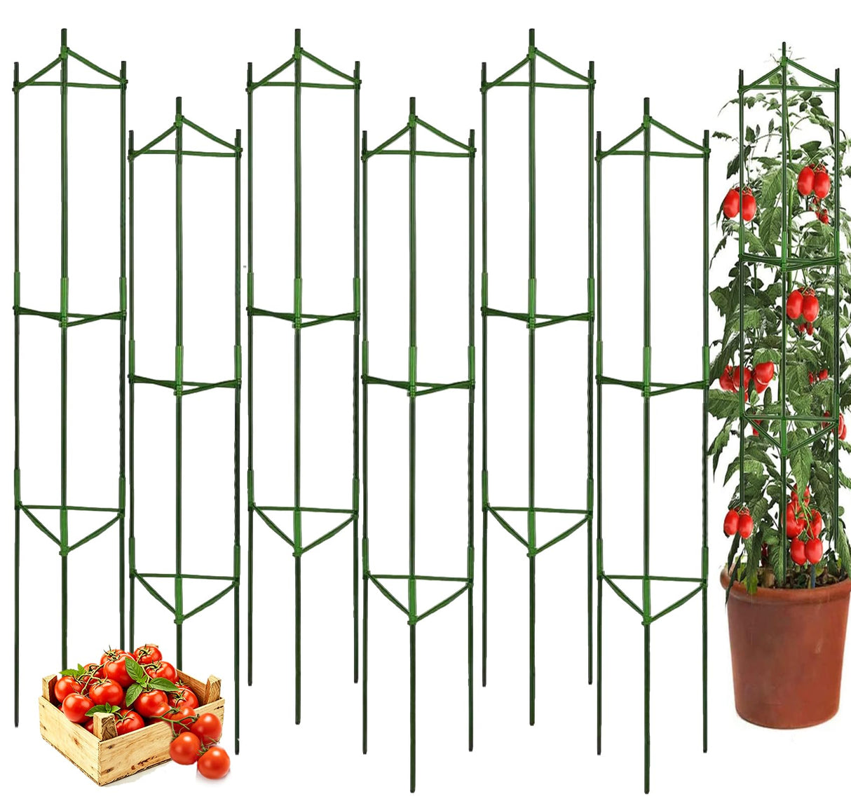 Moirsunt 6 Packs Tomato Cage for Garden, Up to 48Inch Plant Support Stakes