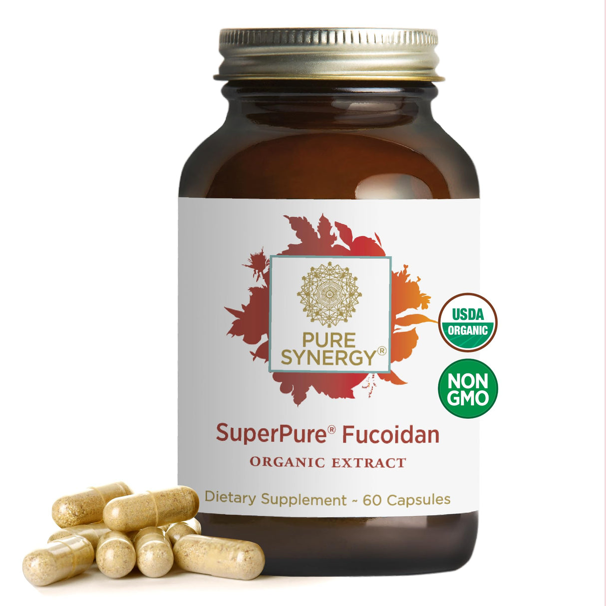 PURE SYNERGY SuperPure Fucoidan Extract | Gluten-Free Fucoidan from Organic Brown Seaweed | for Immune Health, Digestion, and Healthy Aging (60 Capsules)