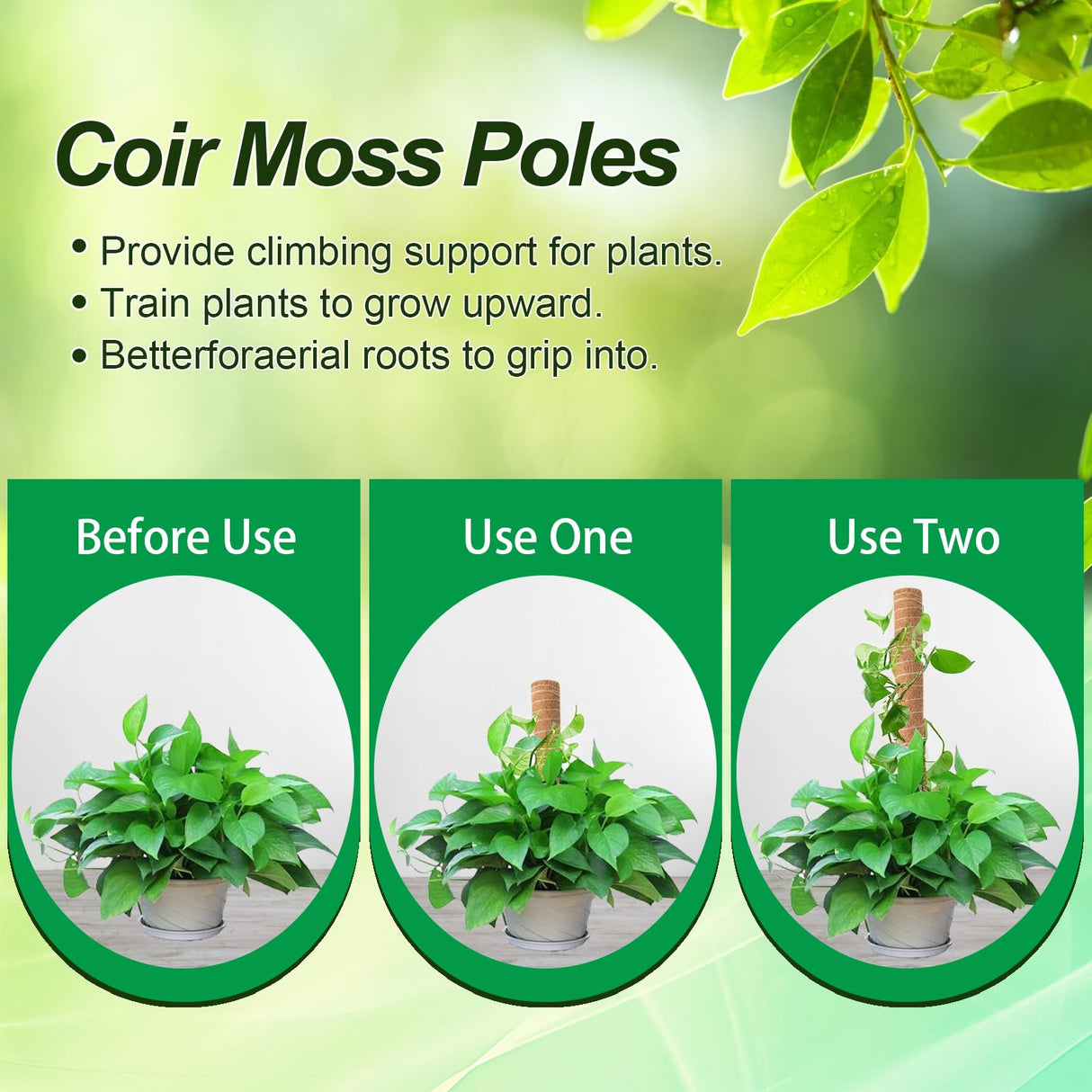 6 Pack Moss Poles for Monstera Plant Support (4x17in + 2x12in, 92in Total) – Stackable Moss Pole for Plants,Ideal Plant Stakes for Indoor Plants, Pothos, and Philodendron Support,with Garden Ties