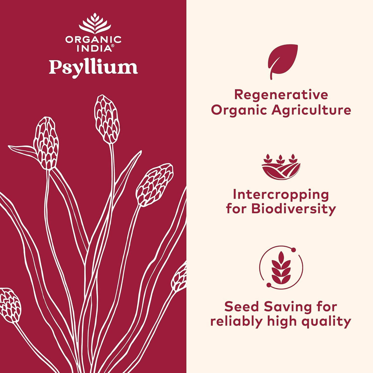 ORGANIC INDIA Psyllium Herbal Powder - Whole Husk Fiber, Vegan, Gluten-Free, USDA Certified Organic, Non-GMO, Soluble & Insoluble Fiber Source - 12 Oz Canister (Pack of 1)