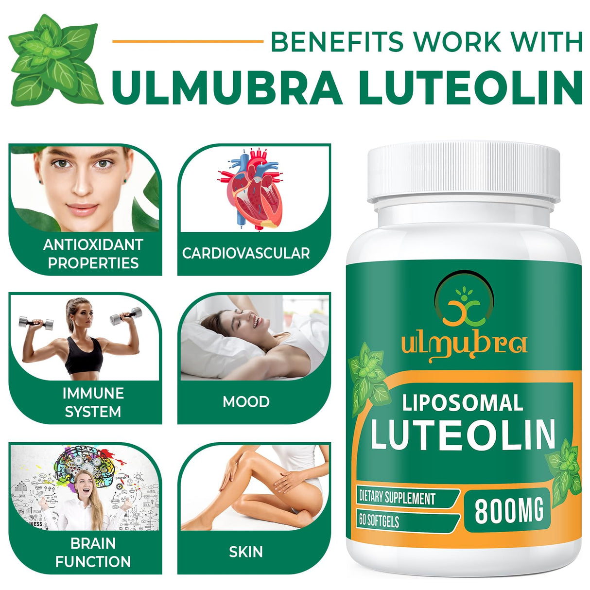 Ulmubra 800 MG Liposomal Luteolin Supplement - Maximum Absorption, Premium Antioxidant Supplement for Brain & Overall Well-Being, 60 Softgels - 30-Day Supply