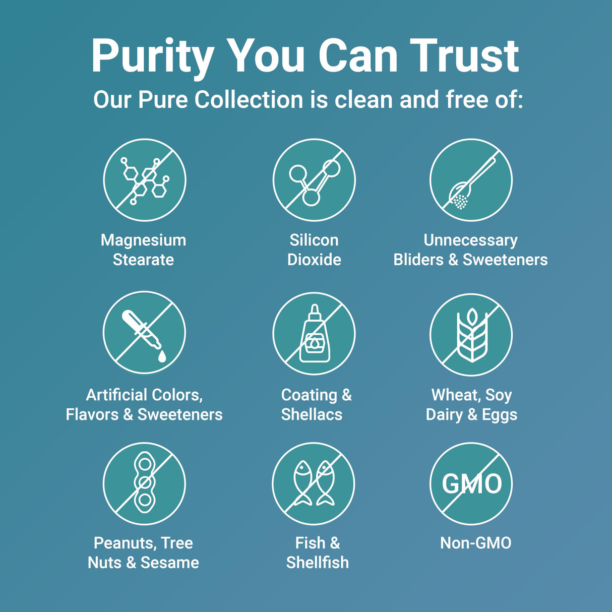 Micro Ingredients Pure Methylated Multivitamin, 240 Capsules | 11-in-1 Formula with Vitamins C, D, B12, Folate, Magnesium, Zinc & More | Supports Daily Wellness & Immune Health | Filler Free, Non-GMO