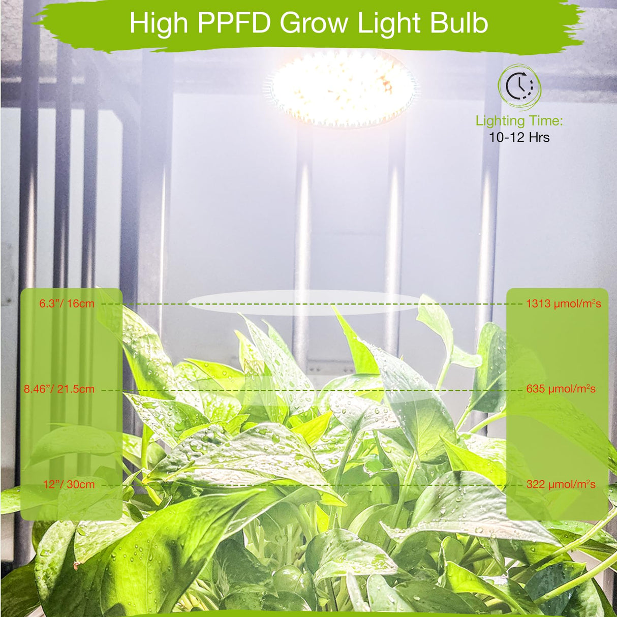 Lonwon Grow Light Bulbs for Indoor Plants, Plant Light Bulbs for Indoor Growing, Full Spectrum E26 LED Grow Bulb with 30W (320W Equivalent) 4000K Warm White, 1-Pack