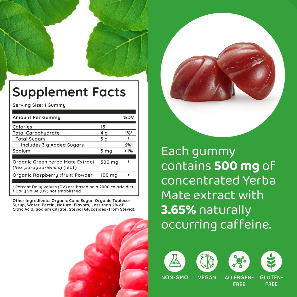 HOLYMARY Yerba Mate Gummies, Raspberry Flavor - Energy, Focus, Power Vegan, Non-GMO, Natural Ingredients, Gluten Free, 50 Delicious Supplement Gummies