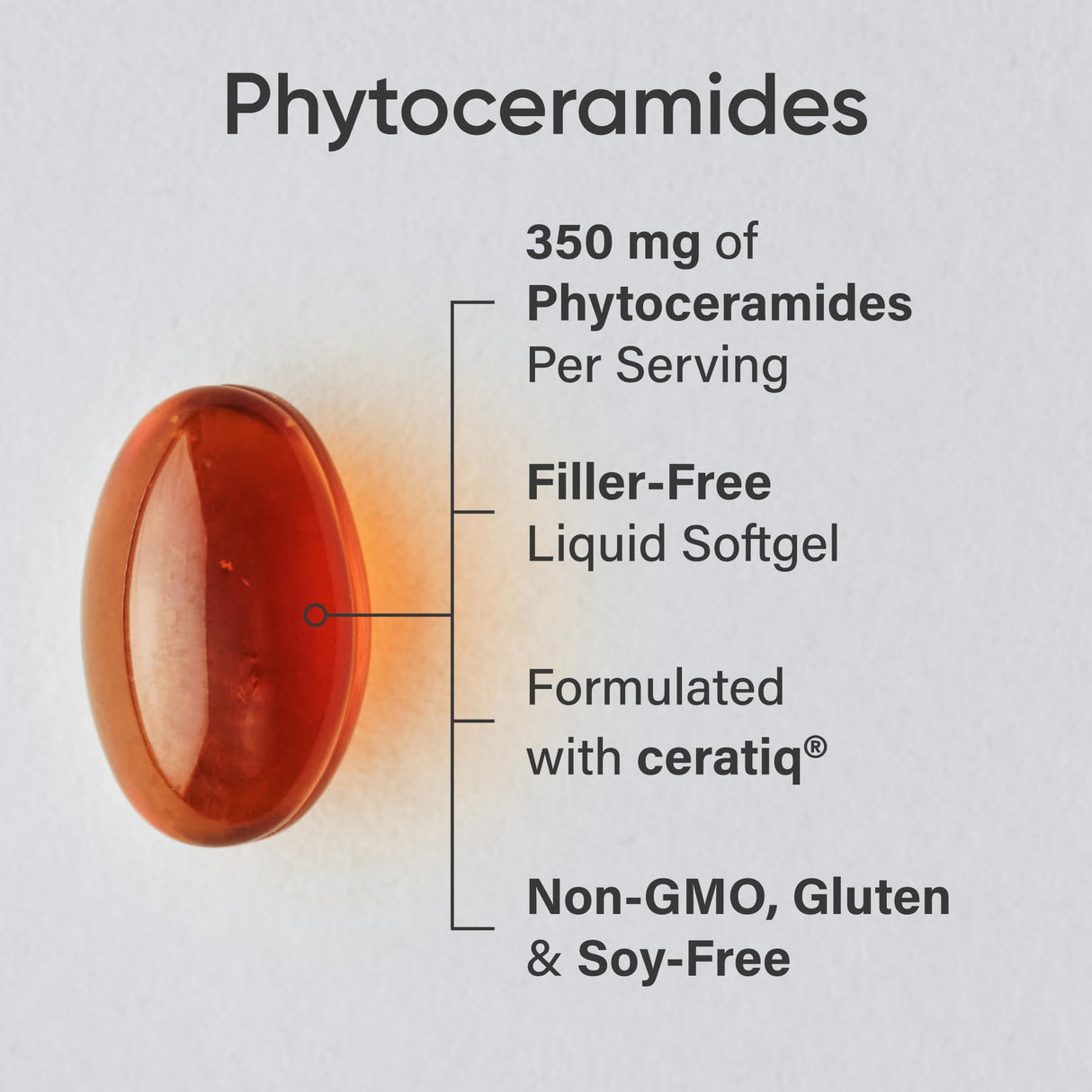 Phytoceramides 350mg per softgel - Plant Derived Ceramides for Healthy Skin and Hydration - Non GMO with No Fillers or Synthetic Vitamins - 30 Liquid softgels