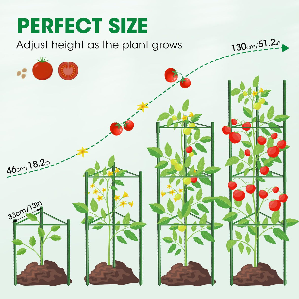 6 Pack Tomato Cages, 51.2in Tomato Plant Support Stakes Heavy-Duty, Garden Tomato Cages & Trellis for Climbing Vegetables, Tomatoes, Peppers, and Potted Plants(6)
