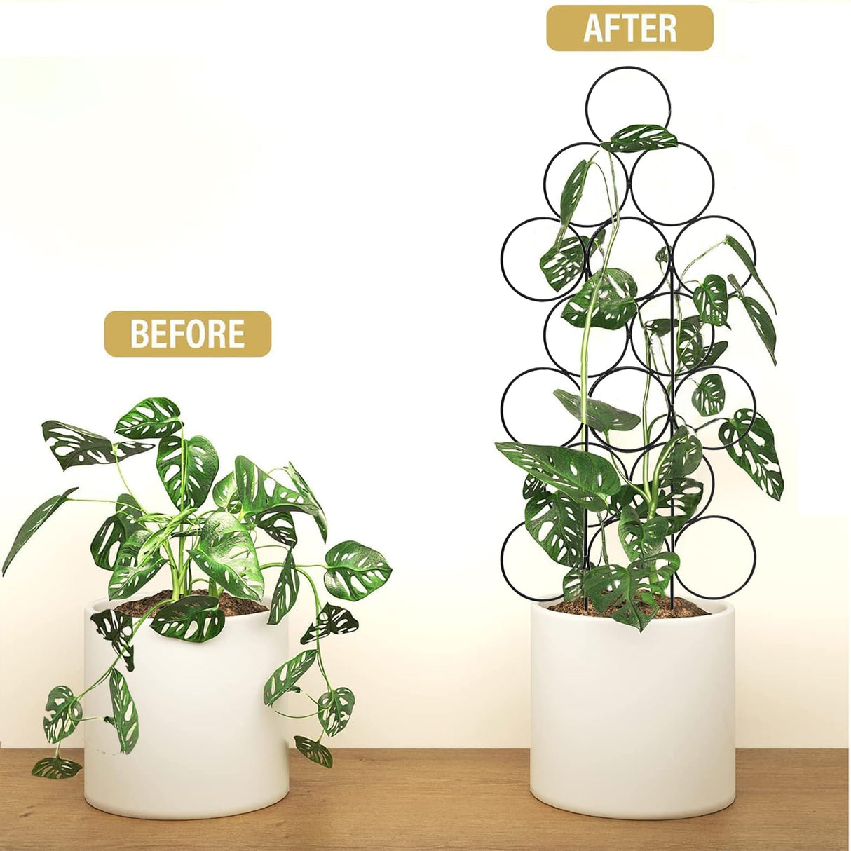 IA Garden Trellis for Climbing Plants Indoor,4 Pack Stackable Garden Trellis for Potted Plant Support, 15.7 Inch Small Houseplant Metal Wire Trellis for Vine Ivy Rose Plant Trellis (Black)