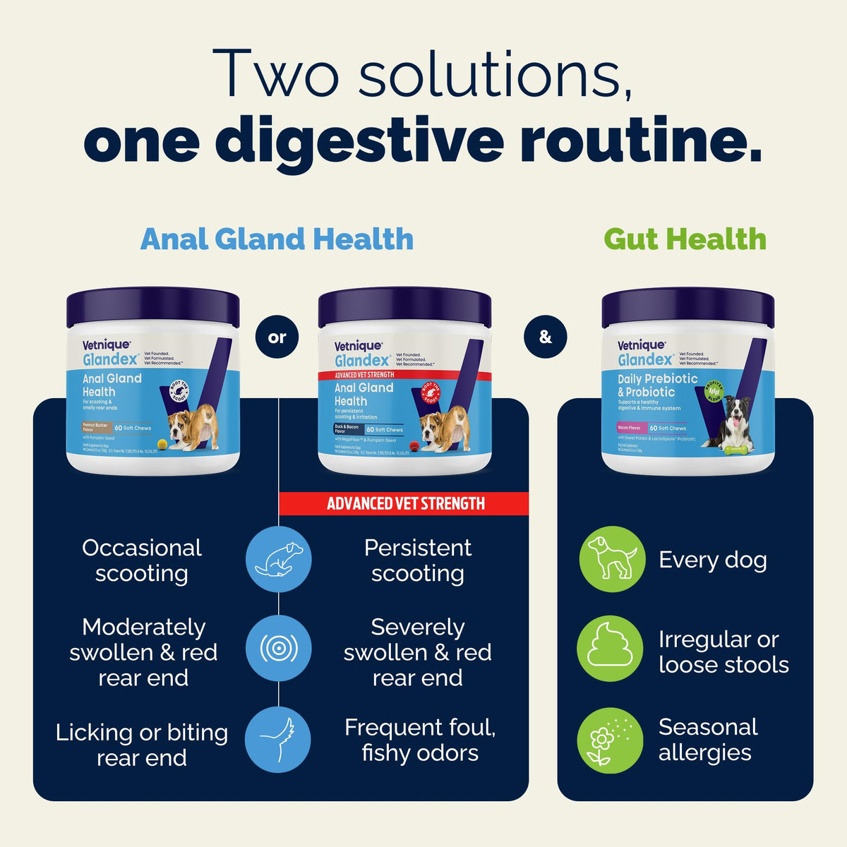 Vetnique Glandex for Dogs Anal Gland Chews 60ct Pumpkin + Digestive Enzymes