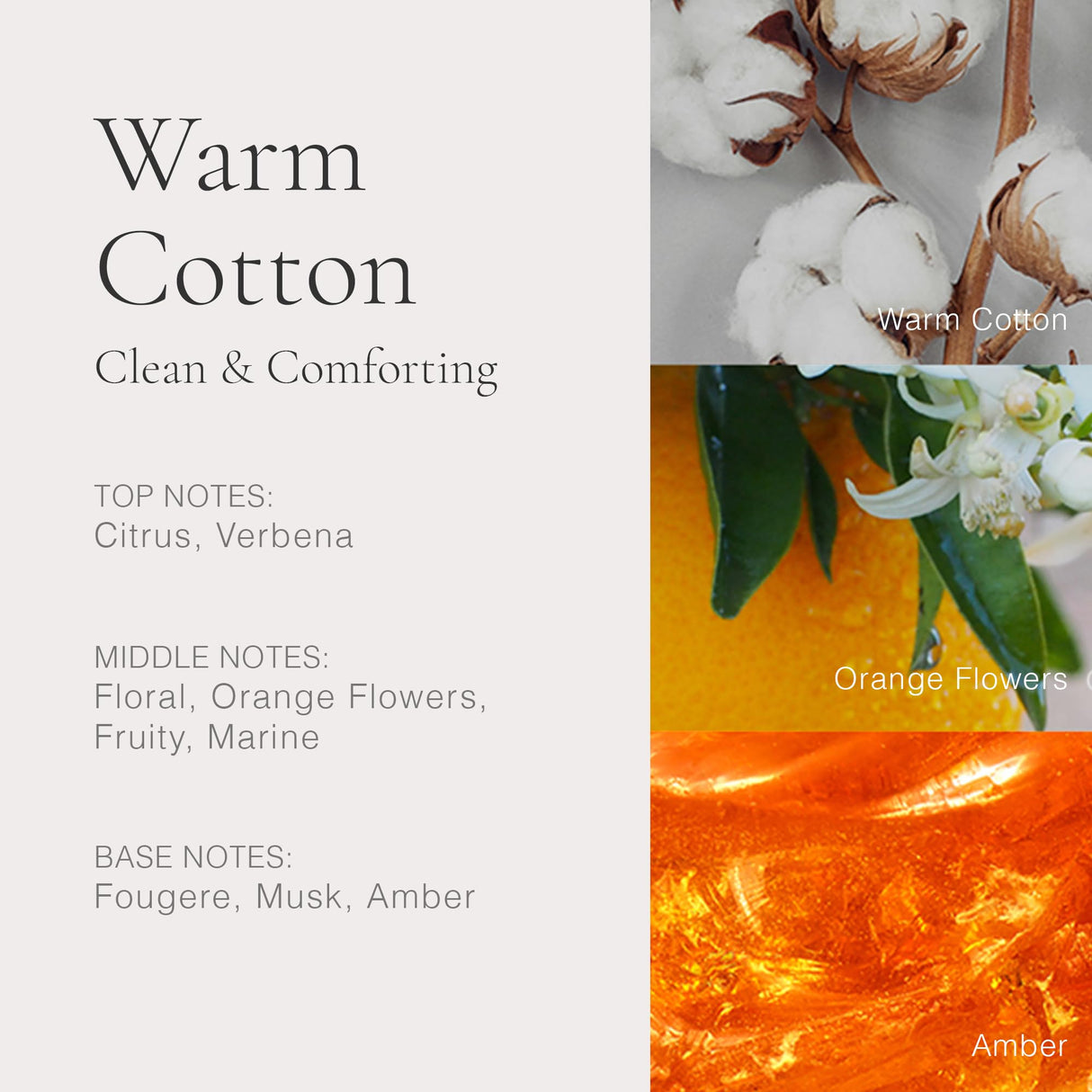 CLEAN CLASSIC Warm Cotton 60mL