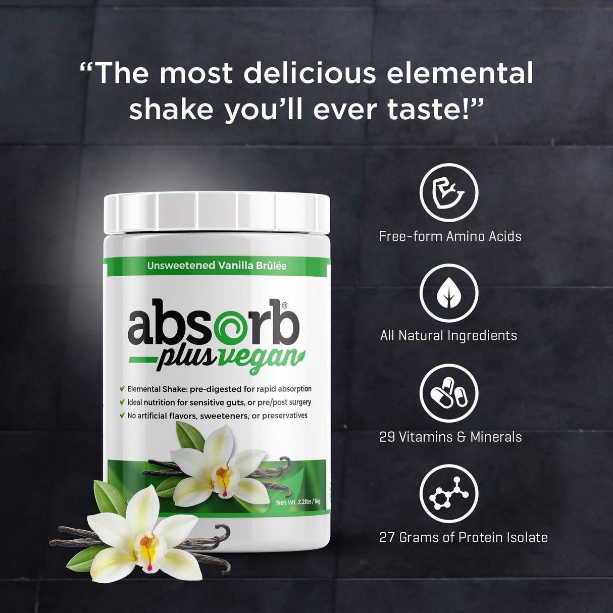 Absorb Plus Vegan Isolate Protein - Gut Health, Nutritional Support, Natural Ingredients, Non-GMO, Gluten-Free, Organic Sprouted Rice Protein (100g, Unsweetened Vanilla Brûlée)