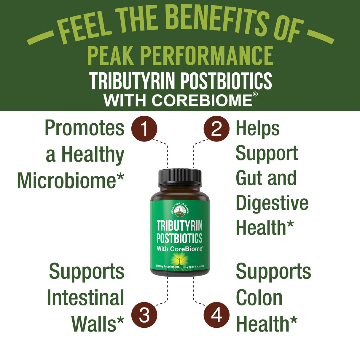 CoreBiome Tributyrin Postbiotic Supplement Clinically Tested For Gut Health. More Effective than Sodium Butyrate Capsules. High Bioavailability Post Biotics For Digestive, Leaky Gut, Colon, Microbiome