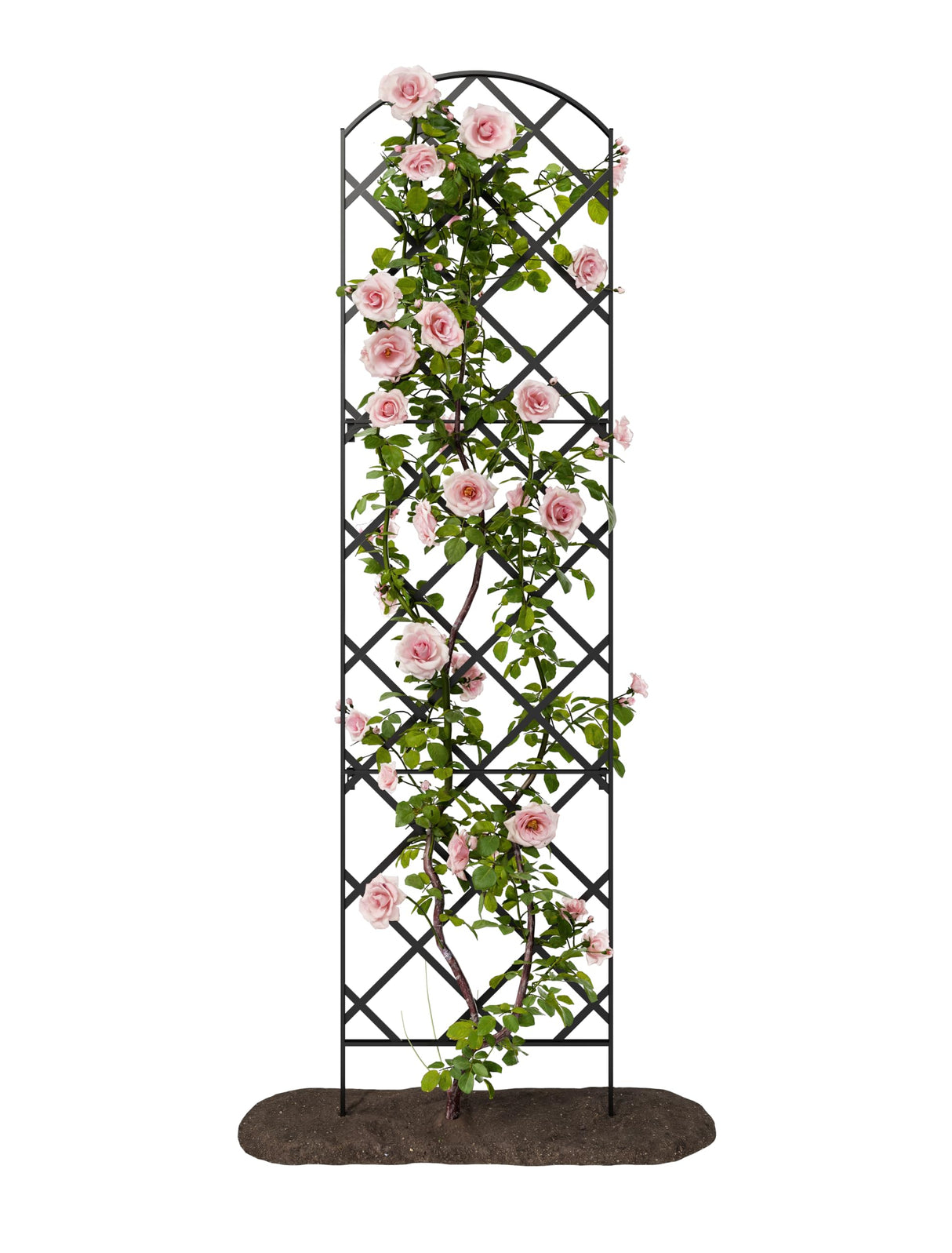 Giant Trellis, 108” high (9’ Tall) by 28” Wide Trellis with Arched top - by Meranti Home + Garden