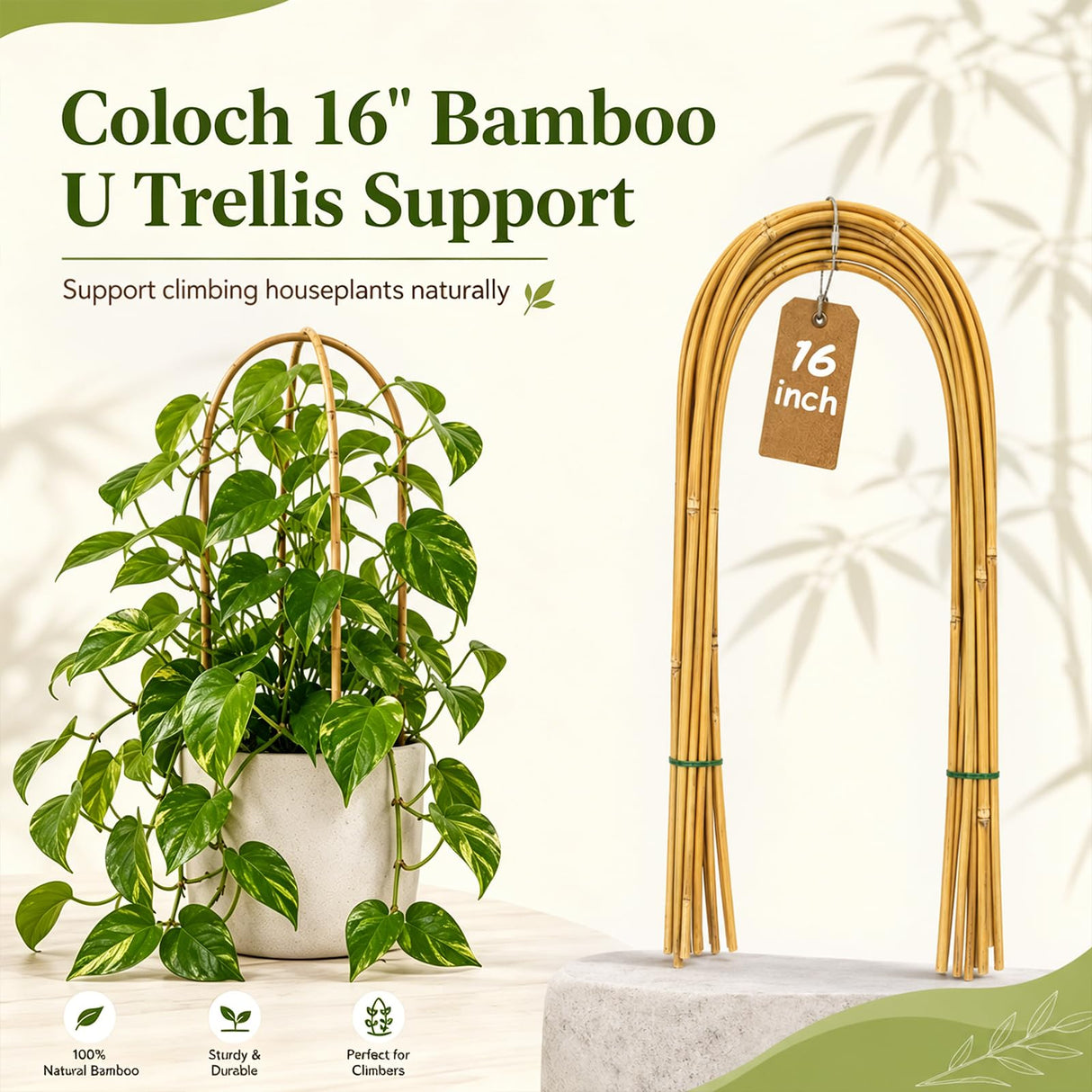 Coloch 20 Pack Bamboo U Trellis Support, 16 Inch U Loop Plant Stake Arch Garden Trellis for Potted Plants, Climbing Flowers and Vines, Ivy, Outdoor Planting