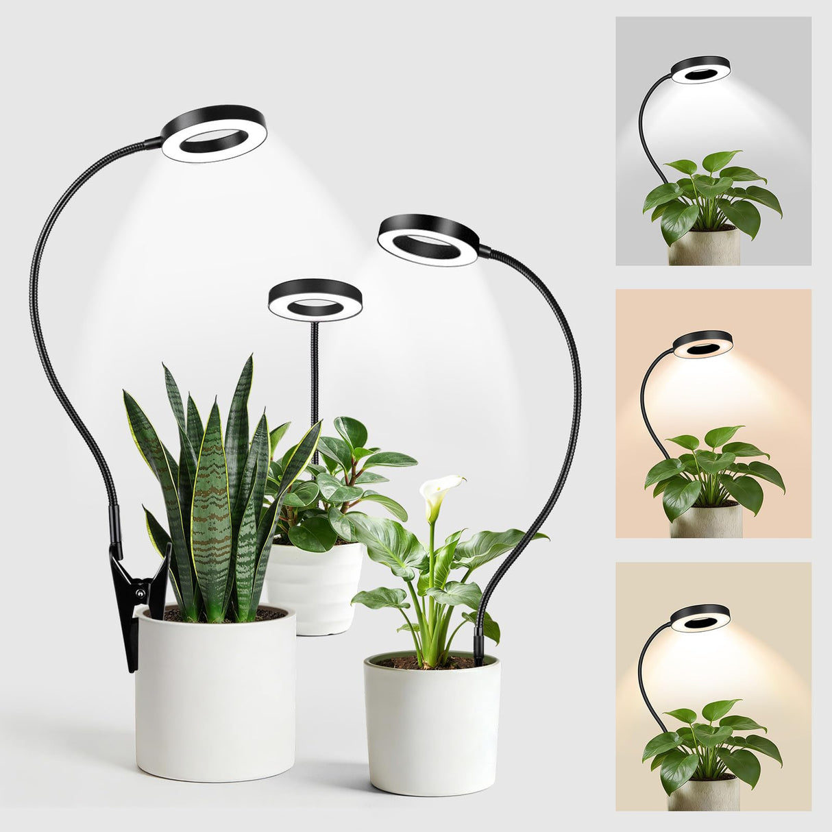 LORDEM Grow Lights for Indoor Plants, 2 in 1 Full Spectrum Plant Light with 360° Gooseneck, 48 LEDs, Auto Timer 6/8/12/16H, 3 Lighting Modes,5 Brightness Levels for Small Plants, 3 Pack Black