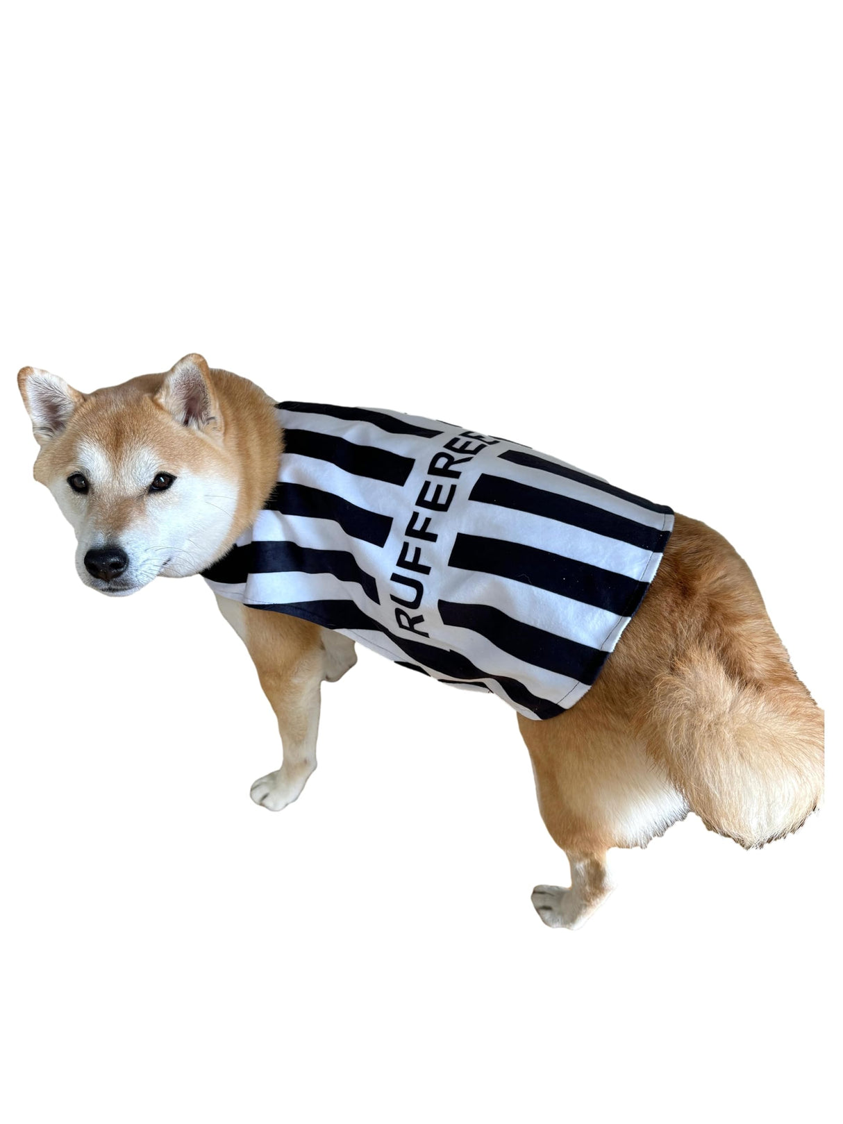 ComfyCamper Black and White Sports Referee Dog Cape Costume - XXL Cosplay Rufferee Halloween Costumes Christmas, L