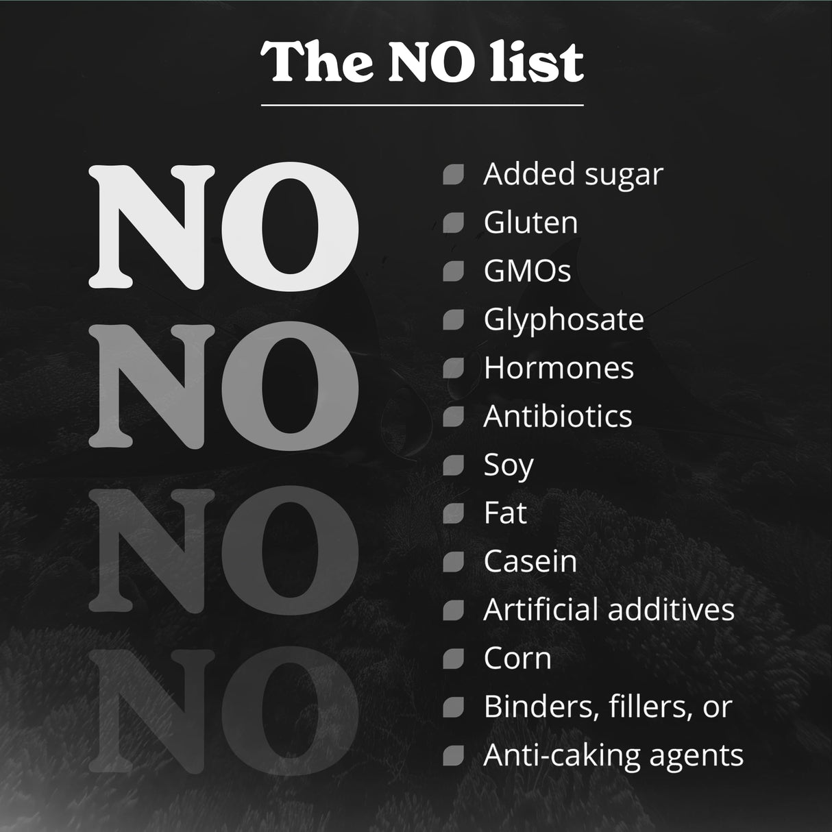 Better Alt Seamoss Capsules- Irish Sea Moss with Black Seed Oil, Ashwagandha & Black Pepper for Stamina, Strength & Endurance- High Potency Sea Moss Supplement - 60 Servings, 120 Capsule