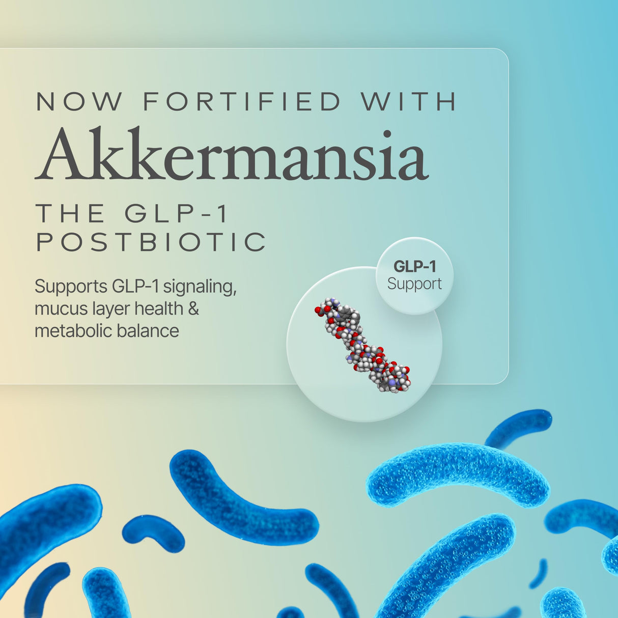 Prime Powders® Colostrum Grass-fed Powder with Akkermansia GLP-1 Probiotic, High IgG, Gut Lining & Immune Support, Growth Factors, Maximum Absorption, Unflavored Supplement (120 Servings)