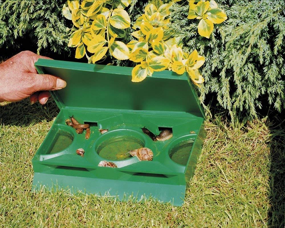 Slug X Slug & Snail Organic Slug Trap - Twin pack