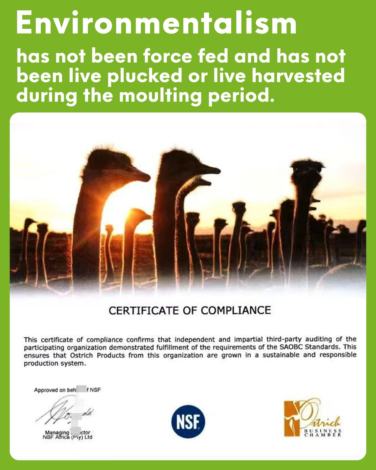 NEWONG 30pcs Black Ostrich Feathers Natural Bulk 11-14inch(28-35cm) Vase Craft Wedding Home Party Centerpieces Christmas Day Decoration