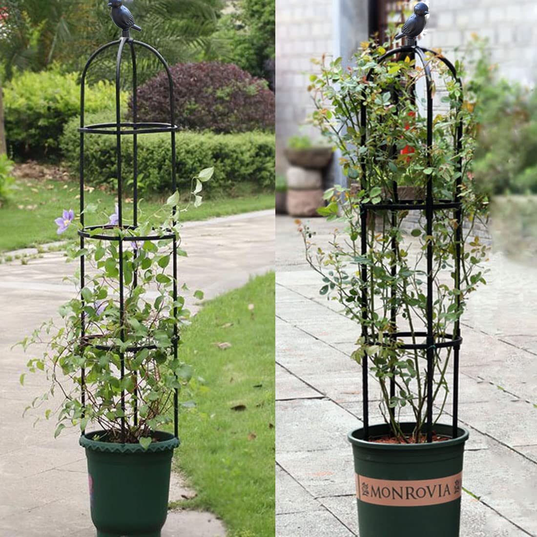 Garden Trellis for Climbing Plants Outdoor, Metal Plant Trellis with PE Coated, Rustproof Plant Support for Flowers Vegetable Vine, Tomato cage for Potted Plants Indoor Outdoor,Lightweight - 2 Pack