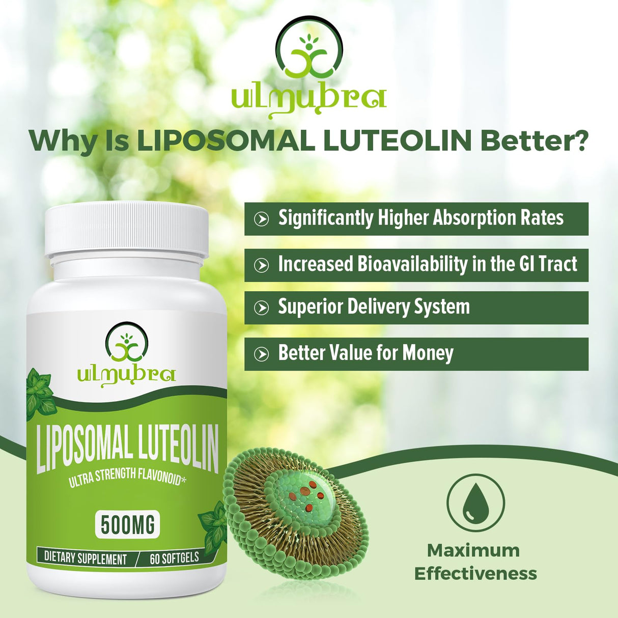 Ulmubra Liposomal Luteolin 500MG, Maximum Absorption, Potent Flavonoid, 60 Softgels, Luteolin Supplement, Non-GMO, Gluten Free