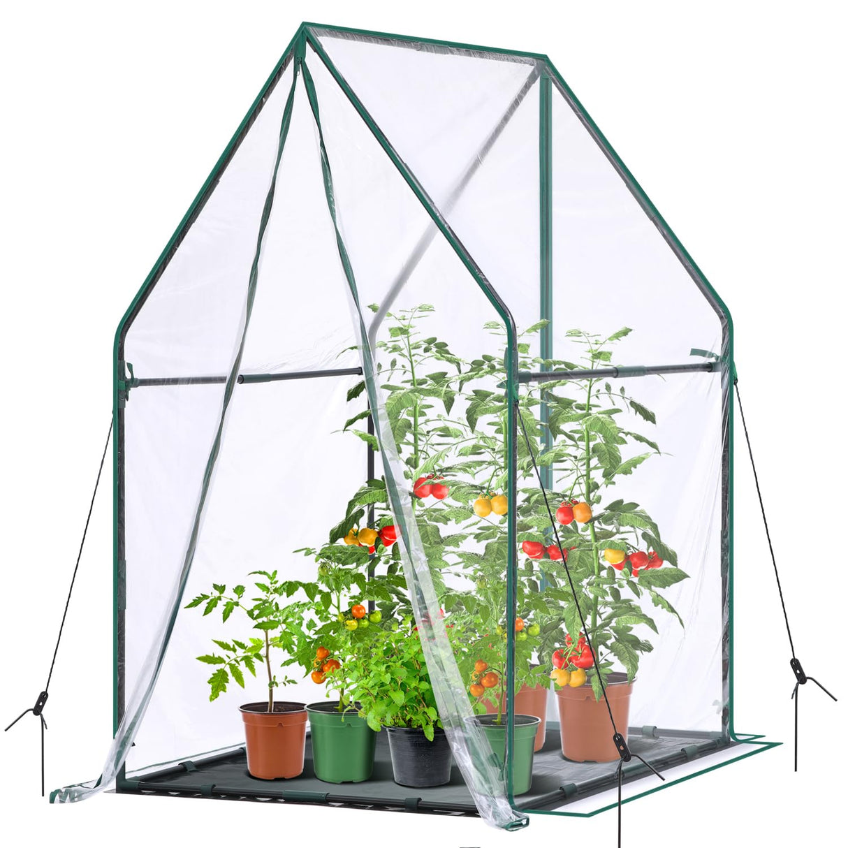 Mini Greenhouse for Indoor Outdoor: Ohuhu Portable Green House with Waterproof Pad for Small Plants Nursery Germination, 36"x36"x58.5" Heavy-Duty PVC Cover Tent Humidity Dome Seedling Accessory