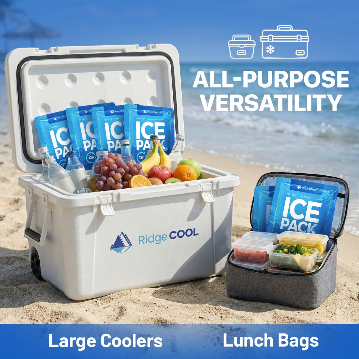 RIDGECOOL 4 Pack Large Reusable Ice Packs for Coolers, BPA-Free Freezer Packs for Cooler, Leakproof, Food Safe, Long Lasting, 9.8 x 8.6 in