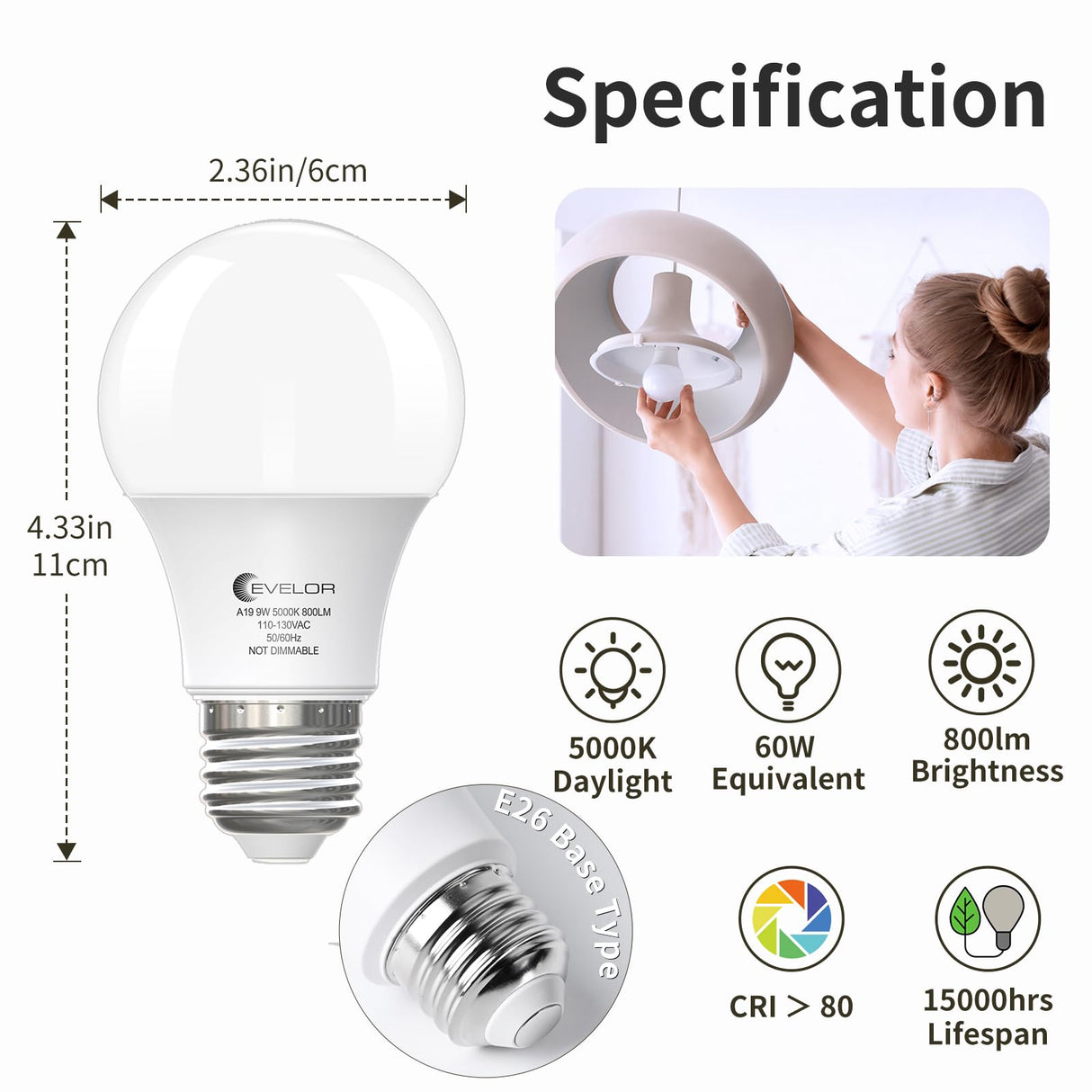 evelor A19 LED Light Bulbs,60 Watt Equivalent Daylight 5000K with E26 Base,Efficient 9W,800 Lumens Non-Dimmable LED Bulbs,15000 Hours, Ideal for Bedroom Living Room, 12-Packs
