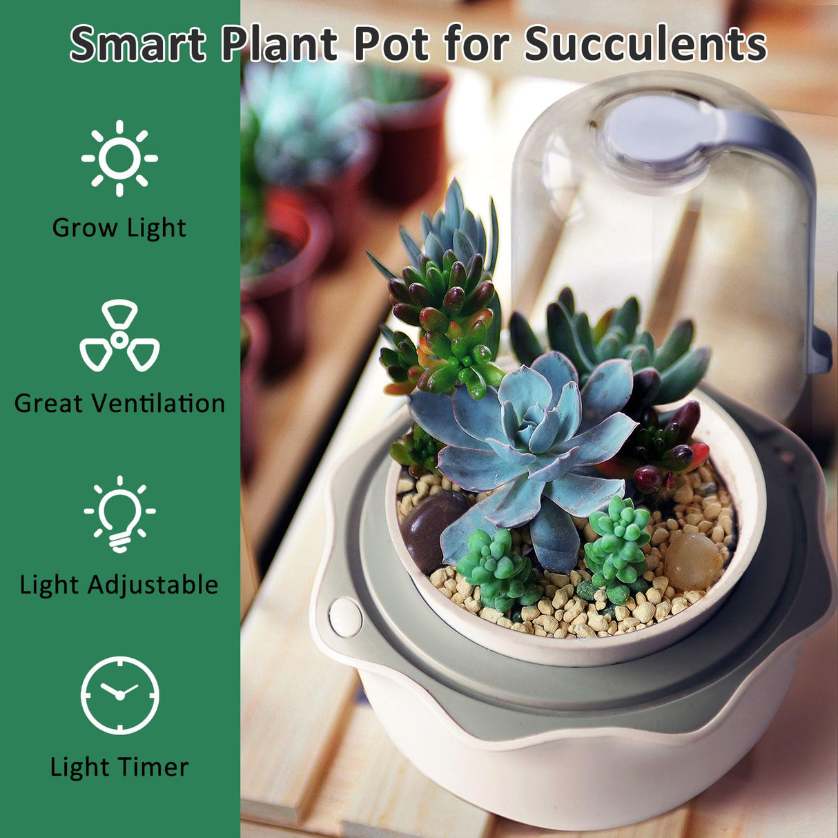 Smart Venus Fly Trap Terrarium Pot with Timer&Fan,Butterwort Plant Pot with Grow Light,Plant Terrarium Kit for Carnivorous Plants, Christmas Birthday Gifts for Women Garden Lover (No Plant)