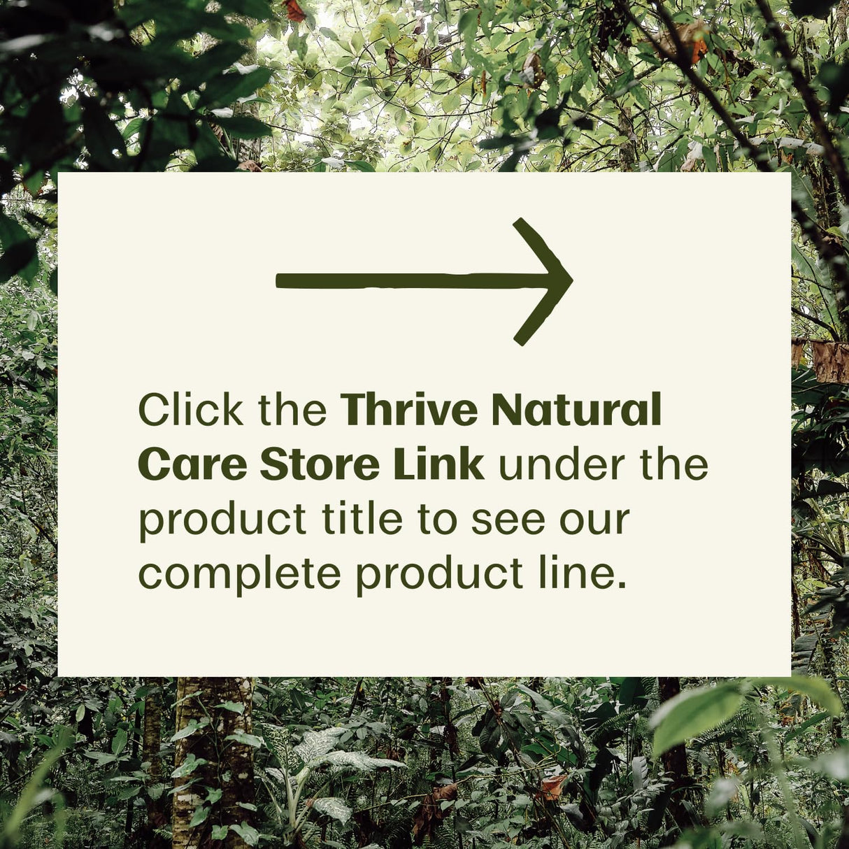 Thrive Reef Safe Sunscreen SPF50 - Hawaii 104 Reef Act Compliant - Mineral Sunscreen Non-Nano Zinc Oxide - Vegan, (5.8 Oz (Pack of 1))