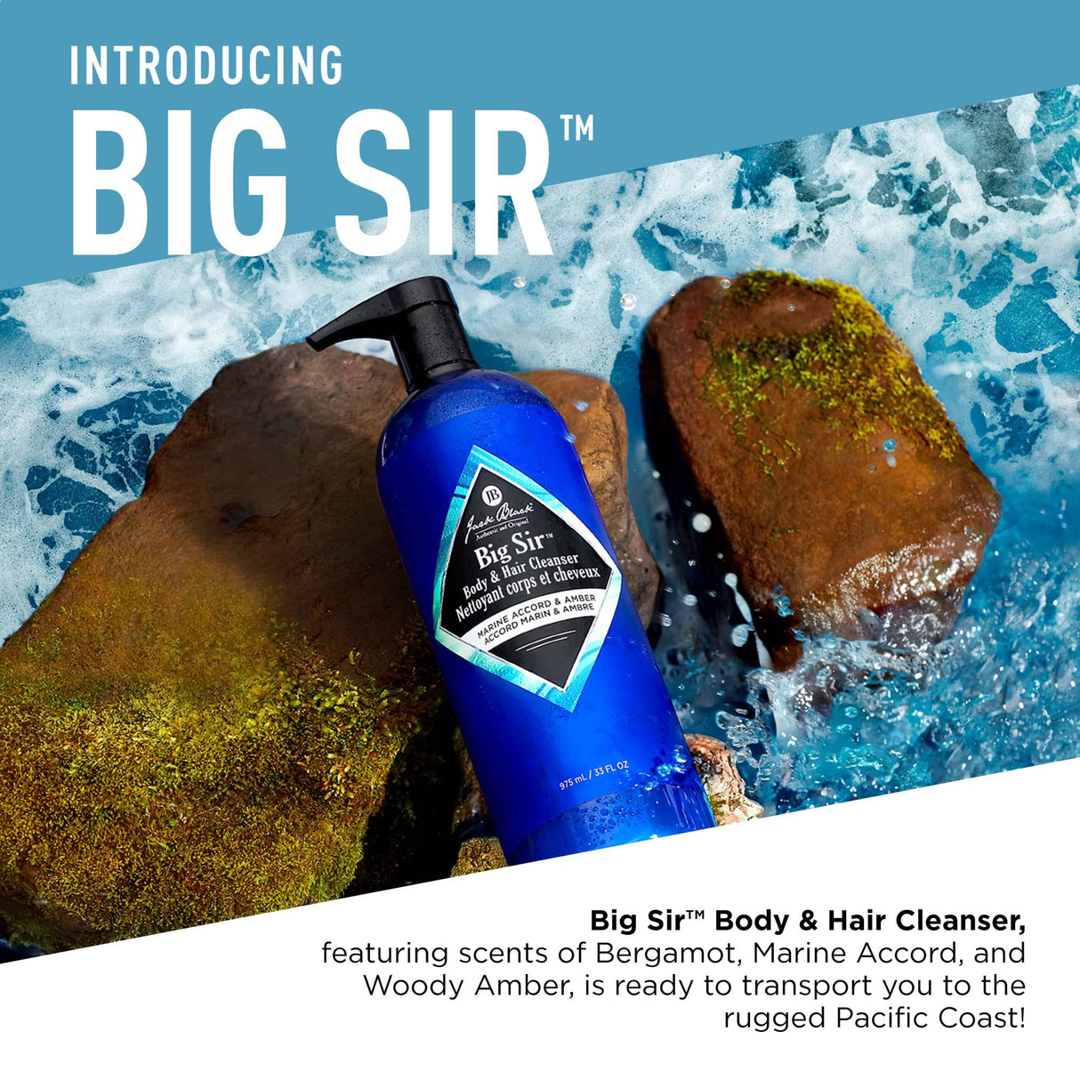 Jack Black Big Sir Body & Hair Cleanser, 33 Fl Oz – Marine Accord & Amber – Mens Body Wash, Mens Shampoo, Skin Care, Hair Care, Dual-Purpose Body Wash Men, Sulfate–Free