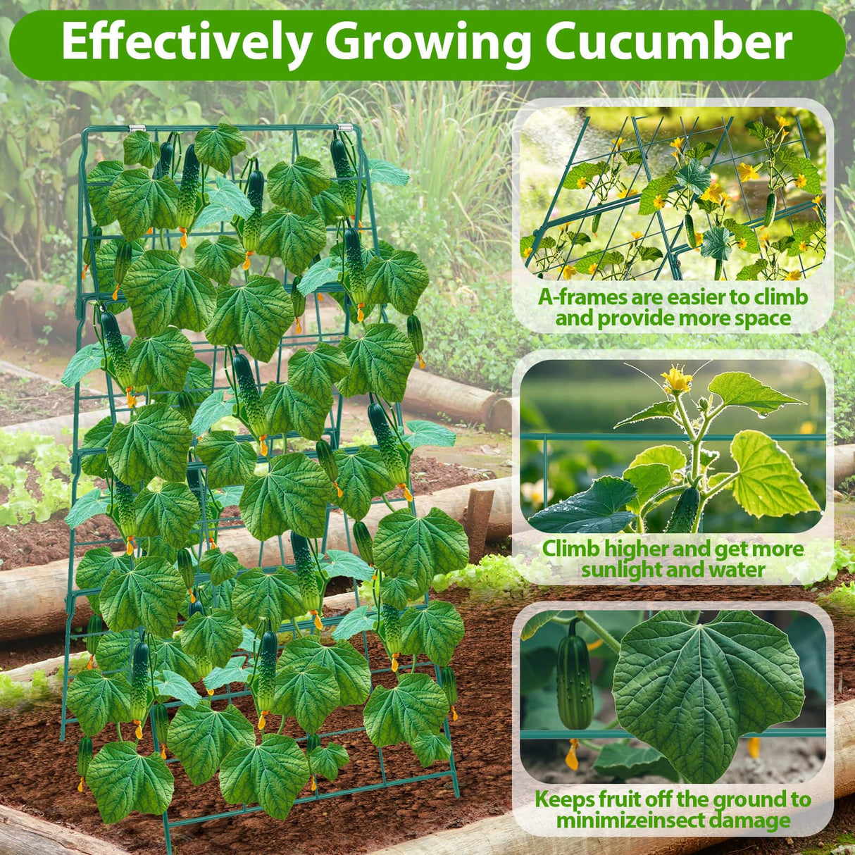 ROADPLUM 2 Pack Cucumber Trellis for Raised Garden Bed, Outdoor Sturdy Metal A-Frame Cucumber Trellis Support for Climbing Plants Vegetables with Accessories, Easy Installation & Easy Harvesting