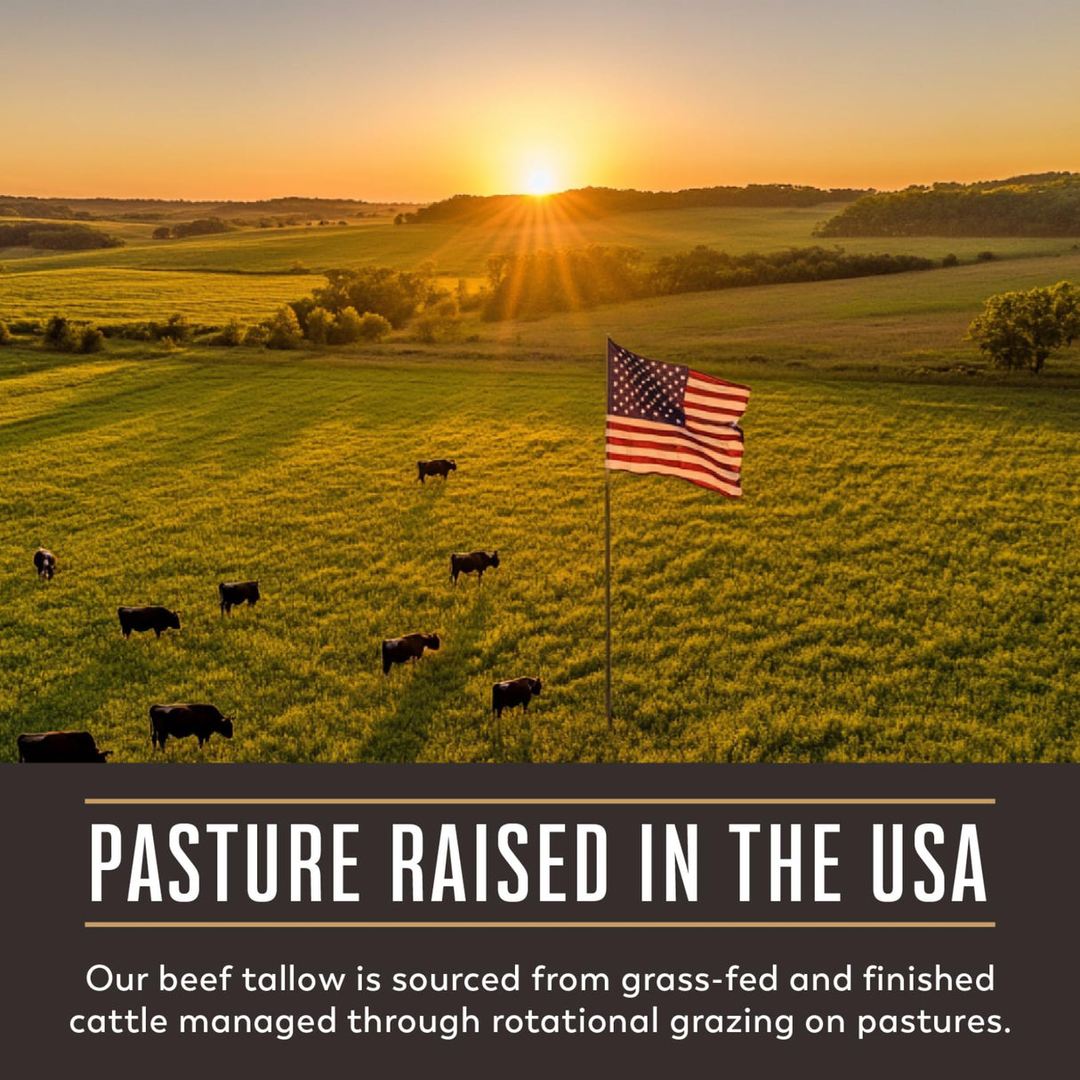 The Maple Valley Beef Tallow For Skin | Tallow and Honey Balm | Grass Fed & Finished Tallow Face Moisturizer with Beeswax and Raw Honey | Unscented, 2 oz